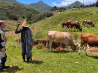 Südafrika-eine Wellt in einem Land 2026  Bild-3