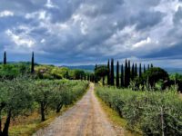 Sardinien 2026  Bild-6