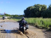 Sardinien 2026  Bild-2
